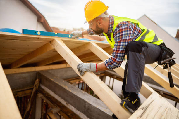 Best Roof Gutter Cleaning  in North Brooksville, FL